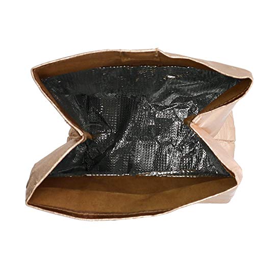 Creative Brands Washable Paper Insulated Bag, 7 X 10-Inch, Let's Do Lunch #TOP2