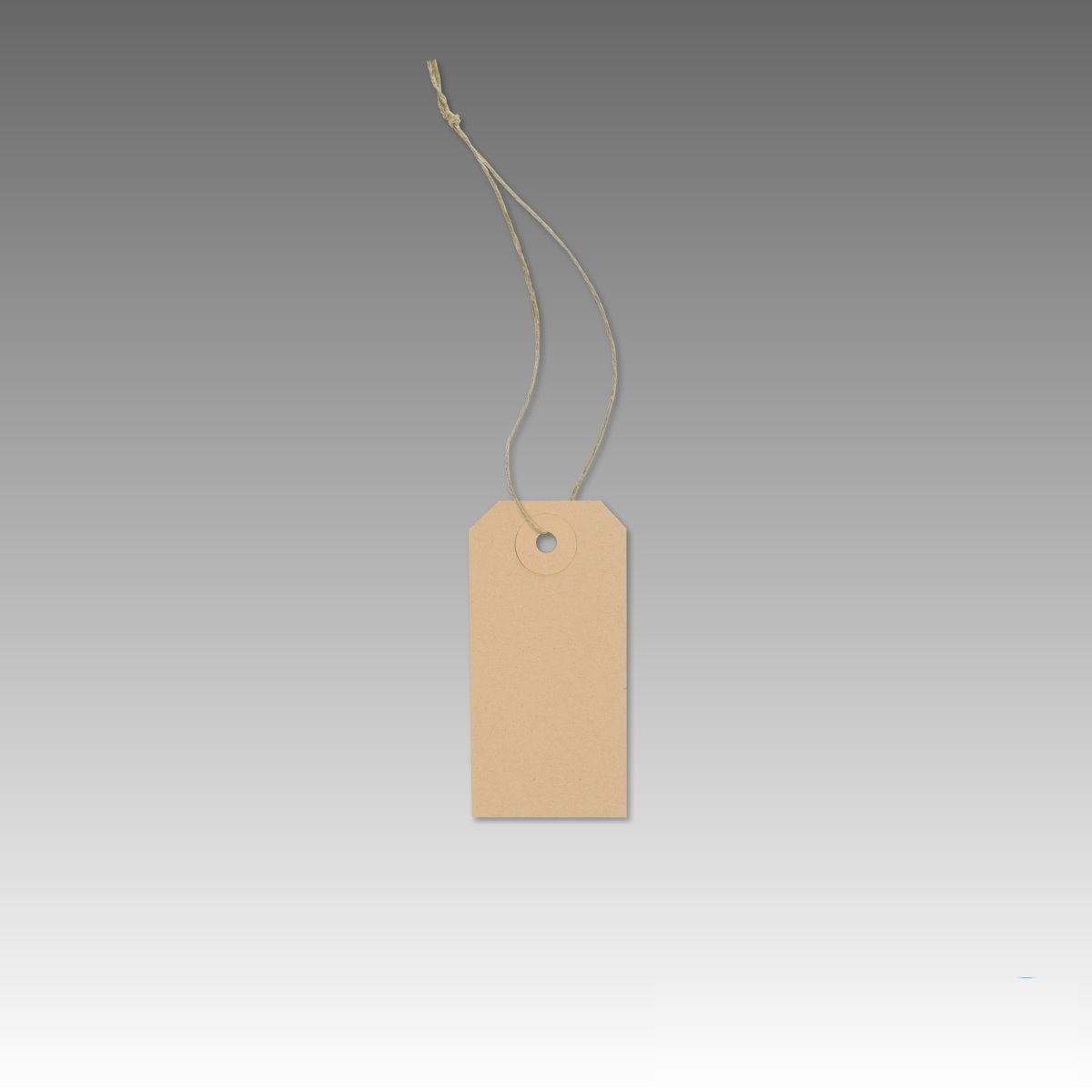 500 Warenanhänger aus Karton Stückwarenanhänger 40x80 mm mit Faden geschlossen 5203010 + 692001G Hängeetiketten Anhängeetiketten Kartonetiketten