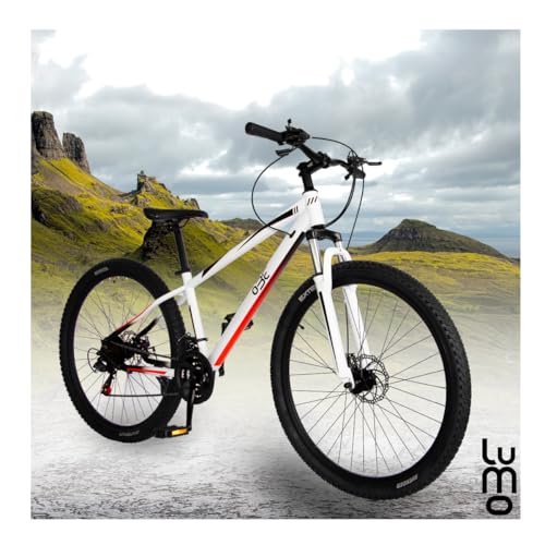 Bicicletas, Imagen adicional