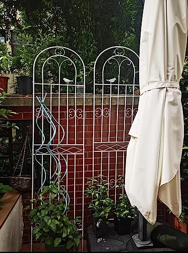 Gran soporte de pared inoxidable para solucionar la caída de rosales 8