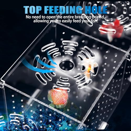 Fischzucht Kasten mit Saugnäpfen, Isolationsbox Aquarium, Acryl Aquarium Isolationsbox, Aquarienfisch-Zuchtbox Transparente Fische Sämlinge Inkubator Brutkasten, Aufzuchtbecken Aquarium für Babyfische