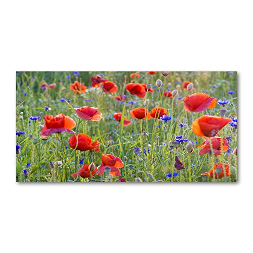 Tirages sur toile fleurs sauvages pour sublimer votre salon