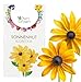 Sonnenhut Samen: Premium Gelber Sonnenhut Saatgut für ca. 20x blühende Sonnenhut Pflanze – Rudbeckia Samen – Rudbeckia winterhart – Sonnenhut Blume Stauden Pflanzen – Winterharte Stauden von OwnGrown