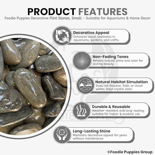 Image of Foodie Puppies Natural Irregular Grey Small Pebbles /Stones (Flint Small - 2Kg) (3cm - 5cm) | Decorative Substrate for Aquarium, Fish Tank, Plant Pots, Vase Filler & Art and Craft