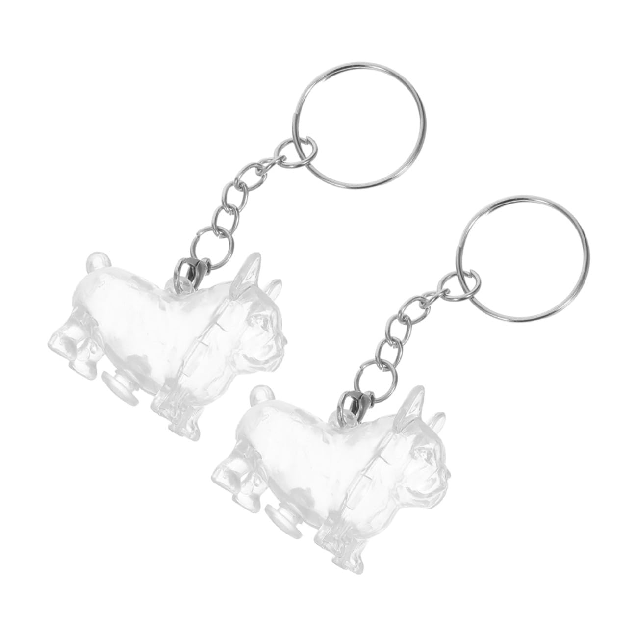 Boîte de rangement transparente pour poils de chat et flacon commémoratif animaux