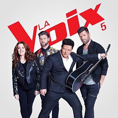 La Voix V [Audio CD] Compilation and The Compilation