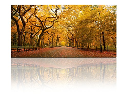 Gardenia Art - Romantic Old Gold Maple Canvas Prints Modern Wall Art Paintings Giclee Artwork for Room Decoration,48x24 inch, unframed