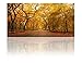 Gardenia Art - Romantic Old Gold Maple Canvas Prints Modern Wall Art Paintings Giclee Artwork for Room Decoration,48x24 inch, unframed