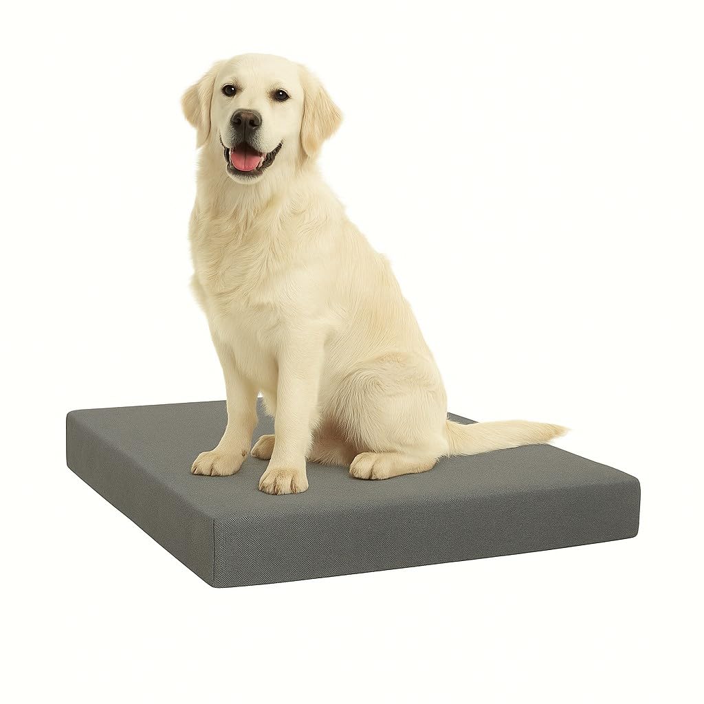 FOAMSUPA Heavy Duty Pet Dog Bed Mattress Mat Cushion with Tough Waterproof cover (Grey, Large 90cm x 60cm x 5cm – 36″ x 24″ x 2″)