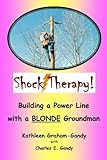 shock therapy witcher 3 bug  Shock Therapy: Building a Power Line with a BLONDE Groundman