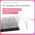 4D W Shaped Lashes Premade Volume Fans Russian 4D Lash Easy Blooming Eyelashes Extension 8-12mm Black Lash Makeup Lashes Supplies (12mm, 4D W-Shape-B-0.05)