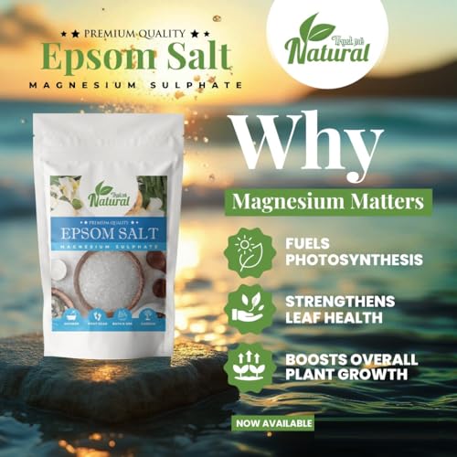 Image of inchOrganic Epsom Salt Crystals for Bath 1kg, For Muscle Relief, Feet Soak, Relieves Aches & Pain, Gardening Plants 1Kg inch