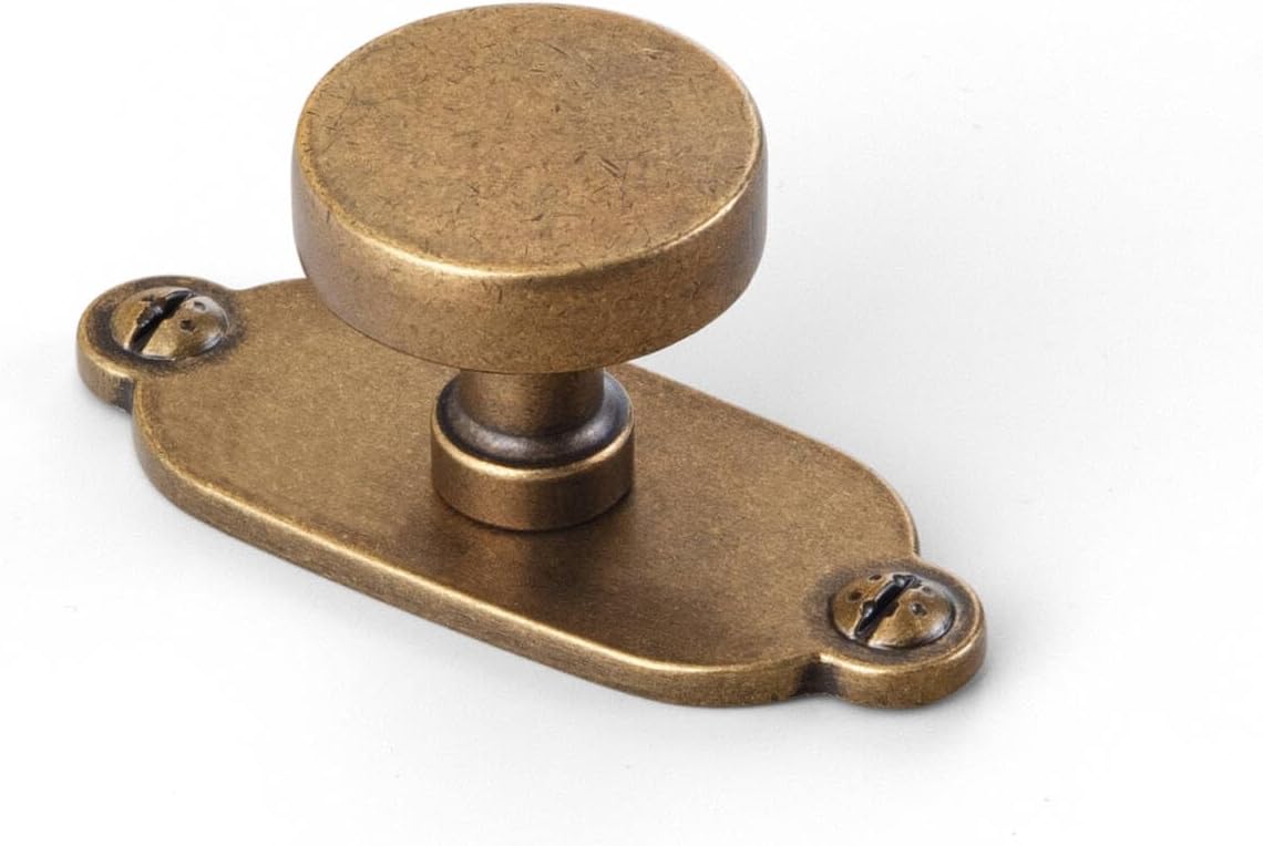 Goo-Ki 6 Pack Antique Brass Cabinet Knobs with Backplate Zinc Alloy Kitchen Hardware - Vintage Brass Bar Drawer Knobs Single Hole/Screw Cabinet Pulls with Spacer