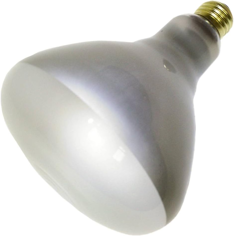 BULB FLOOD BR40 65W SW