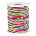 Sunmns 1mm Elastic Cord Beads Stretch String for Jewelry Bracelet Making, Rainbow 100 m