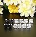 JOERCIA 6 Pairs Stainless Steel Stud Earrings -Silver, Gold, Black- Round & Square Designs for Men & Women, Inlaid Cubic Zirconia, 7MM