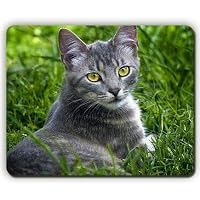 Gaming Mauspad Mit Katzen-Motiv – Rutschfest, Waschbar, Verschiedene Größen