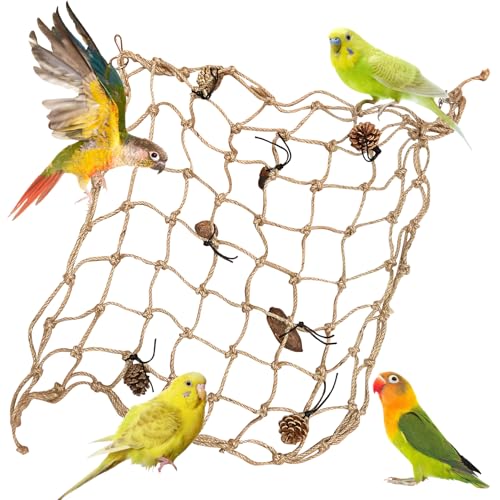 Large 24x24 Bird Climbing Wall Set