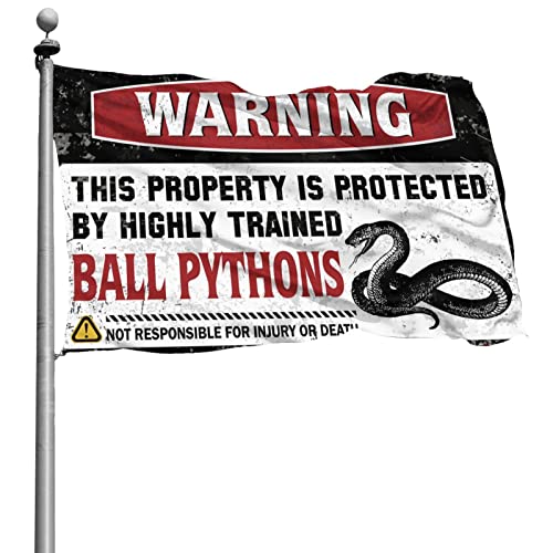 Drapeau python de dortoir pour rompre la monotonie des murs