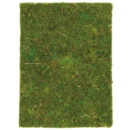 Plaque de mousse stabilisée - 40 x 30 cm