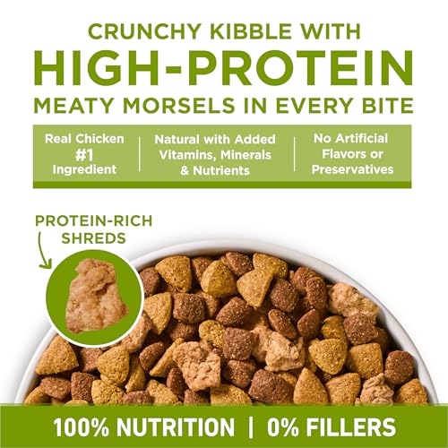 Purina ONE Plus Whole Body Support with Chicken Dry Dog Food, 4 lb Bag - image 6
