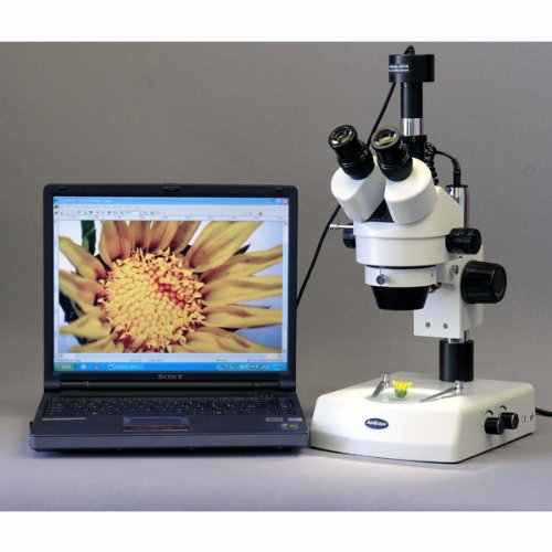 Image of AmScope SM-2TX Professional Trinocular Stereo Zoom Microscope, WH10x Eyepieces, 3.5X-45X Magnification, 0.7X-4.5X Zoom Objective, Upper and Lower Halogen Lighting, Pillar Stand, 110V-120V, Includes 0.5X Barlow Lens