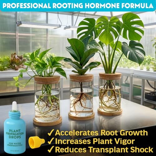 Rooting Drops para propagación de plantas 2 fl oz miniatura 2