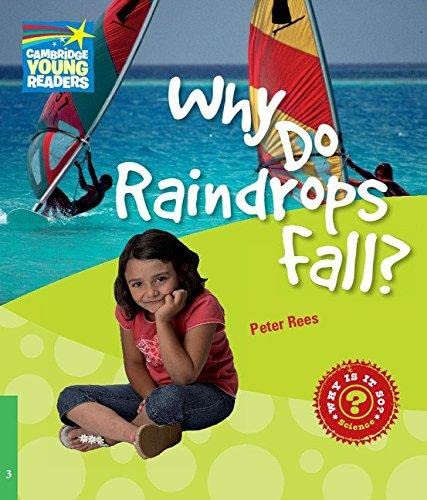 Why do raindrops fall?: level 3
