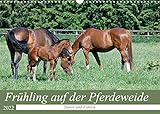 14 Seiten bestehend aus 1 Coverbild | 12 Monatsbilder | 1 Indexseite. Inklusive Papprücken hinten und vorderseitig einer Klarsichtfolie.
