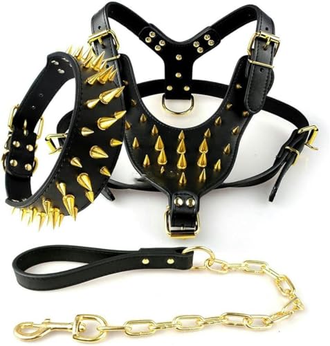 Arnés para Perros de Cuero con Tachuelas y Pinchos, Collar y Correa con Remaches para Perros medianos y Grandes, Dorado, XL