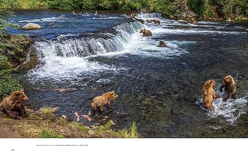 Image of Wild Lives: The World's Most Extraordinary Wildlife