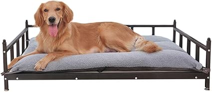 bed height dog bed
