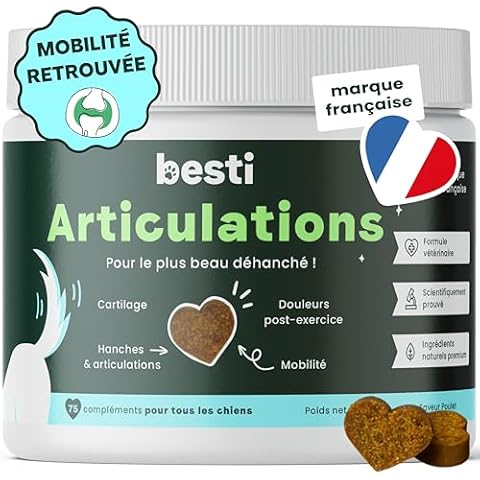 BESTI Compléments Articulations Cover