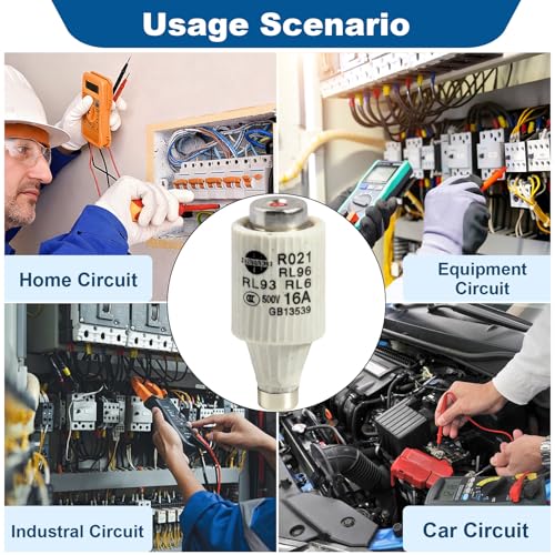10 Stück DII 16A E27 Sicherung Schmelzsicherung Keramik R021 500V Sicherungseinsätze Spiral-Diazed Sicherungen gG 50KA Diazed Strom Sicherung für Kabel und Leitungsschutz