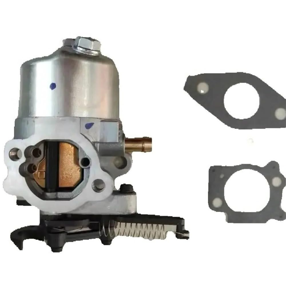 Carburateur de moteur résout calage et fuite DOV750 161CC BS