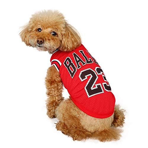 KJOET  oXPbgW[W ybg  jtH[ hbOEGA RXv RX`[ 23#X|[cEGA   ^ ^   u₩ o (L,bh)