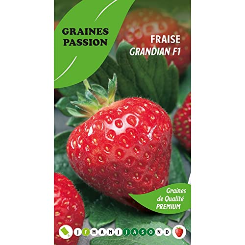 Graines Passion sachet de graines Fraise Grandian F1