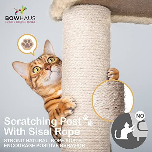 Bowhaus Tall Cat Tree For Indoor Large Cats Or Kittens, Multi-Level Cat Activity Tree With Scratching Posts, Hammock, Cat Cave Condo, Modern Cute Small Cat Climbing Tower With Widened Perch #TOP4