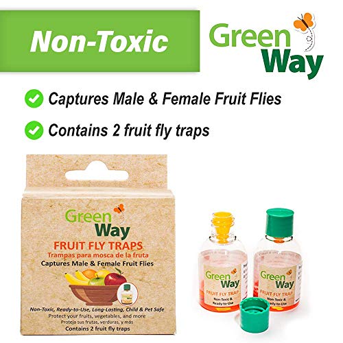 GreenWay Fruit Fly Trap (24 Bottles) | Natural Liquid Attractant, Ready to Use Bottles | Safe, Non-Toxic with No Insecticides or Odor, Eco Friendly, Kid and Pet Safe …