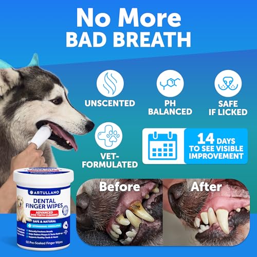 Image of Dental Finger Wipes for Dogs Teeth - 50 Count - Unscented Dog Dental Wipes