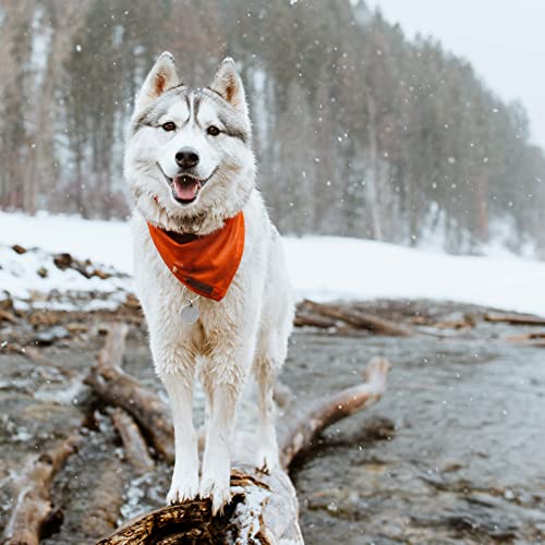 Image of Wilderdog Dog Bandana with Lightweight Quick Drying Poly-Blend Mesh Material in Orange