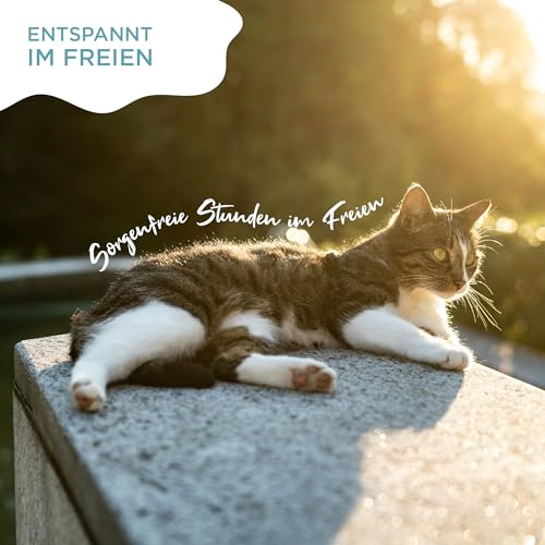 OptiPet Spot On Pipetten für Katzen 6x1ml - Hochwirksame Tropfen gegen Milben, Flöhe, Zecken & Läuse - Parasiten Abwehr Schutz bis zu 24 Wochen - Flohschutz, Zeckenschutz, Zeckenmittel für Katzen