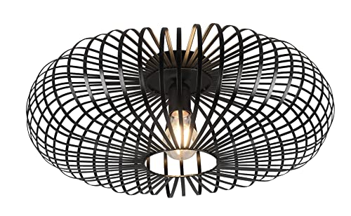 Trio Leuchten Deckenleuchte Johann 606905032, Metall Schwarz matt, exkl. Leuchtmittel 1x E27, Durchmesser 50cm