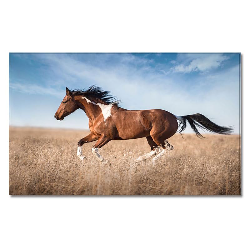 Tapis de salon cheval doux pour créer un coin jeu enfant cosy
