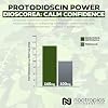 Nootropics Depot Dioscorea nipponica Capsules | 400mg | 40% Protodioscin | Wild Yam | 60 Count