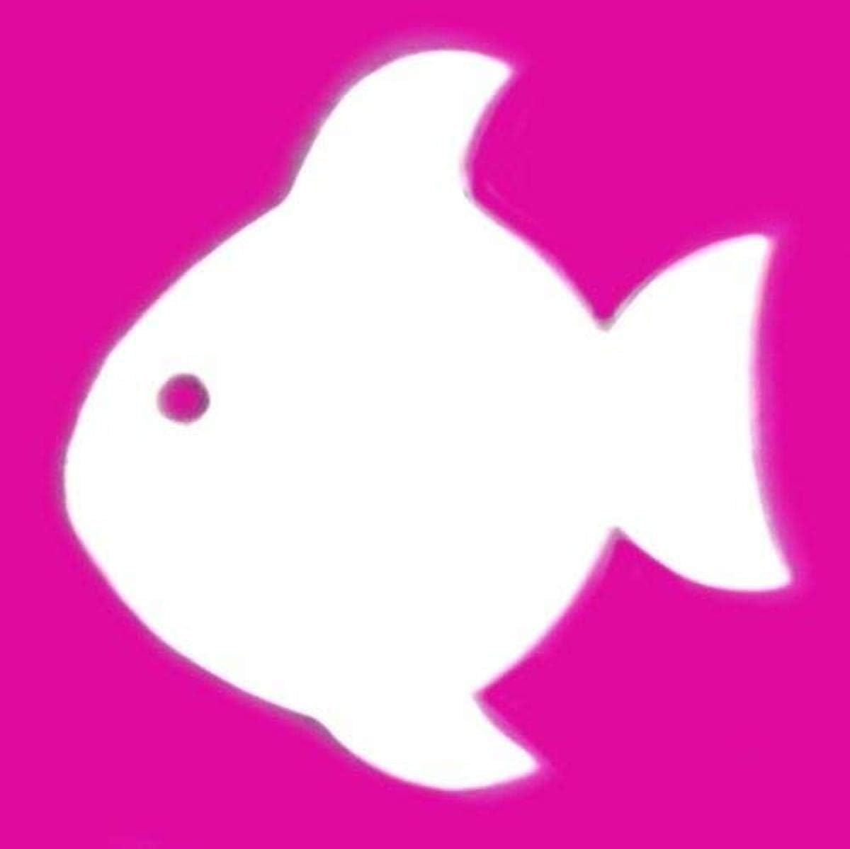 Super Cool Creations Fish with Eye Mirrors - 12cm x 11cm