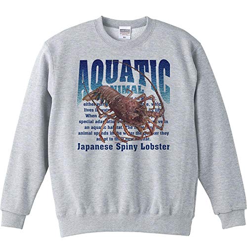 エムワイディエス(MYDS) イセエビ(伊勢海老)<水棲生物シリーズ/トレーナー/杢グレー/メンズXL