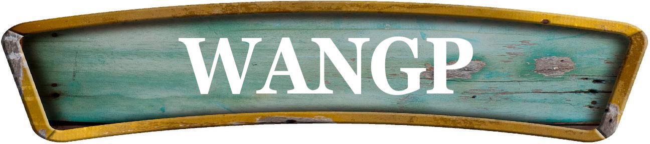 WANGP Teal Curved 8" Shaped Weathered Rustic Painted Wood Look Decal Bumper Sticker for use on Any Smooth Surface