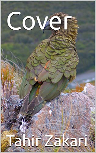 Cover (English Edition)