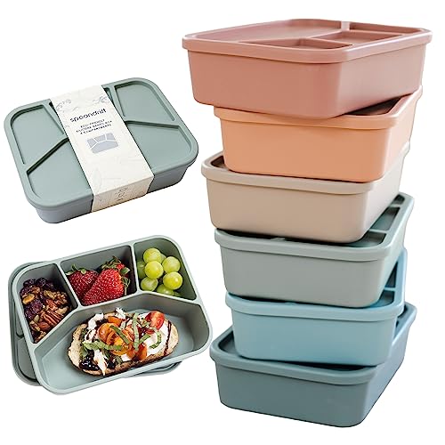 What’s The Best Lunch Box Brands By An Expert Glory Cycles